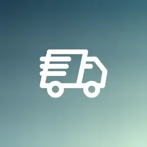 Icon Lieferung