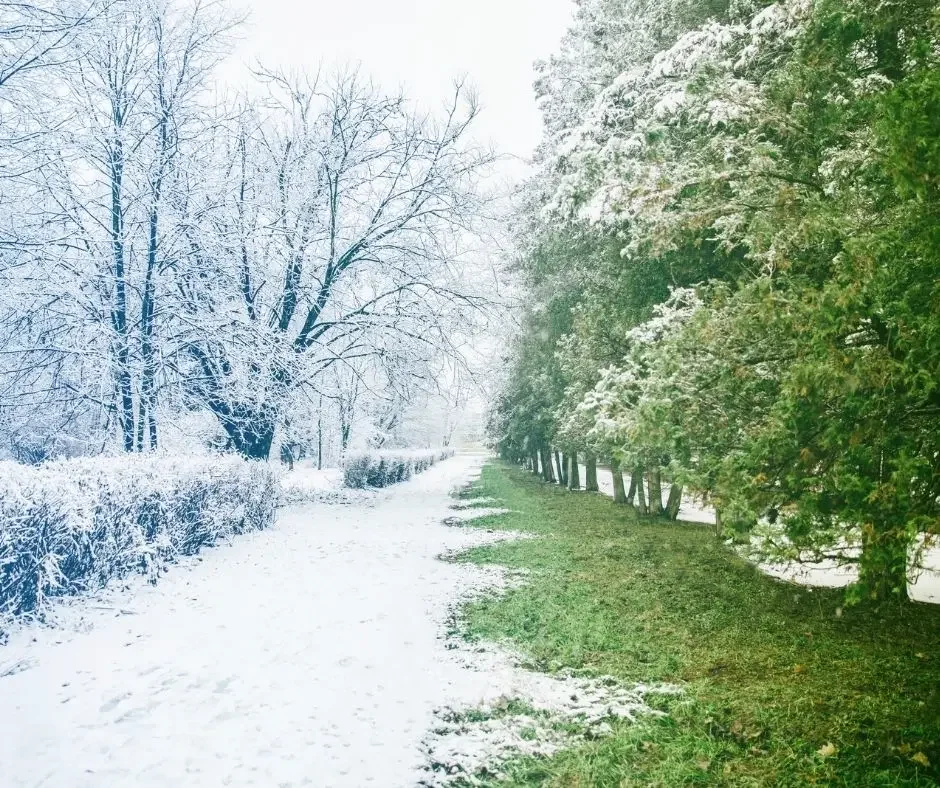 Winterlandschaft