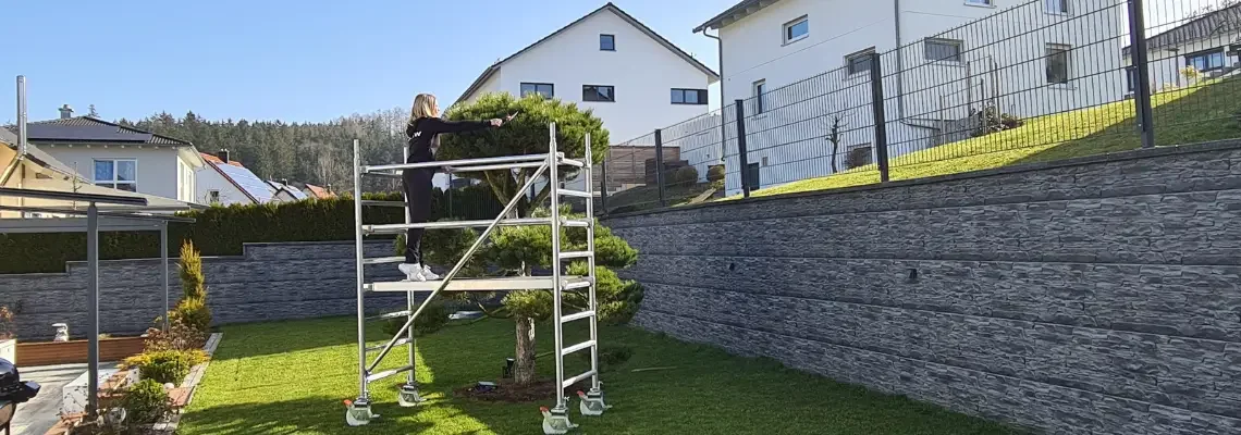 Hecke schneiden mit einem Rollgerüst