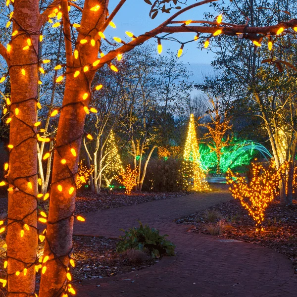 Weihnachtsbeleuchtung